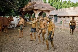 ಕೋವಿಡ್ ಚಿಕಿತ್ಸೆಗಾಗಿ ಗೋ ಮೂತ್ರ ಬಳಸುವುದರ ವಿರುದ್ಧ ಎಚ್ಚರಿಕೆ ನೀಡಿದ ವೈದ್ಯರು