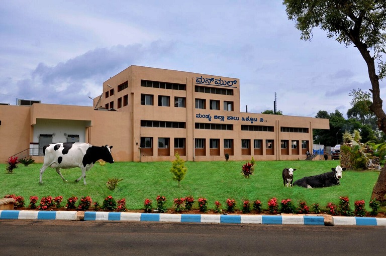 ಹಾಲಿಗೆ ನೀರು ಬೆರೆಸಿ ಕೋಟ್ಯಾಂತರ ರೂಪಾಯಿ ನಷ್ಟ ಉಂಟು ಮಾಡಿದ  ಭ್ರಷ್ಟರನ್ನು ರಕ್ಷಿಸಲು ನಡೆಯುತ್ತಿದೆಯೇ ಲಾಬಿ?