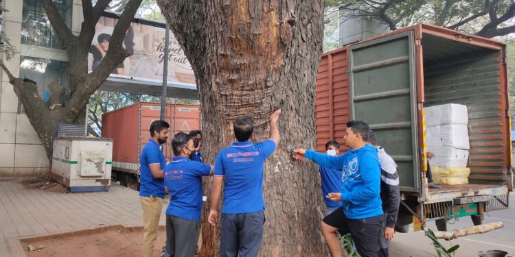 ಬೆಂಗಳೂರು ಮರಗಳಿಗೆ ಮೊಳೆ ಹೊಡೆದರೆ ದಂಡ ಹಾಗೂ ಸಜೆ: ಬಿಬಿಎಂಪಿಯಿಂದ ಮಹತ್ವದ ಆದೇಶ.!!