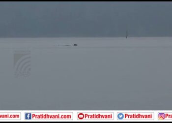 ಕಬಿನಿ ಹಿನ್ನೀರು – ಬಂಡೀಪುರ ರೇಂಜಿನಿಂದ ನಾಗರಹೊಳೆ ರೇಂಜಿಗೆ ಈಜುಕೊಂಡೇ ದಡ ಸೇರಿದ ಹುಲಿ