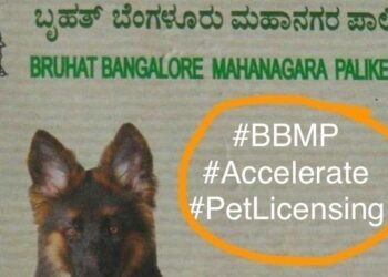 ಬೆಂಗಳೂರಲ್ಲಿ ಮನೆಯಲ್ಲಿ ನಾಯಿ ಸಾಕಬೇಕೆಂದರೆ ಪರವಾನಿಗೆ ಕಡ್ಡಾಯ: ಬಿಬಿಎಂಪಿ