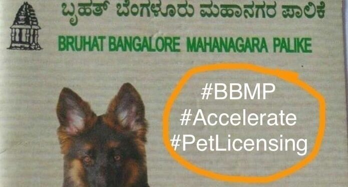 ಬೆಂಗಳೂರಲ್ಲಿ ಮನೆಯಲ್ಲಿ ನಾಯಿ ಸಾಕಬೇಕೆಂದರೆ ಪರವಾನಿಗೆ ಕಡ್ಡಾಯ: ಬಿಬಿಎಂಪಿ