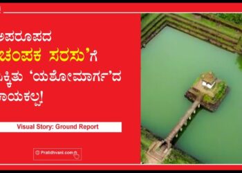ಅಪರೂಪದ ಚಂಪಕ ಸರಸುಗೆ ಸಿಕ್ಕಿತು ಯಶೋಮಾರ್ಗದ  ಕಾಯಕಲ್ಪ!