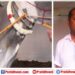 ಕೃಷಿಮೇಳದಲ್ಲಿ ಹಳ್ಳಿಕಾರ್ ಹೋರಿಗಳದ್ದೇ ದರ್ಬಾರ್!