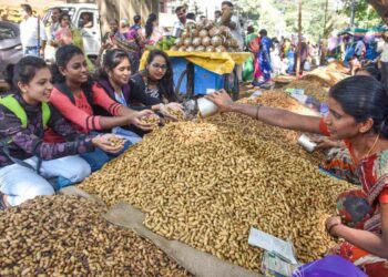 ಸಿಲಿಕಾನ್ ಸಿಟಿ ಕಡಲೆಕಾಯಿ ಪರಿಷೆಗೆ ಬಿಬಿಎಂಪಿಯಿಂದ ಅನುಮತಿ : ನವೆಂಬರ್ 29ರಿಂದ ಮೂರು ದಿನಗಳ ಕಾಲ ಕಡಲೆಕಾಯಿ ಪರಿಷೆ!