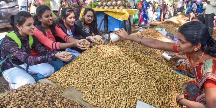 ಸಿಲಿಕಾನ್ ಸಿಟಿ ಕಡಲೆಕಾಯಿ ಪರಿಷೆಗೆ ಬಿಬಿಎಂಪಿಯಿಂದ ಅನುಮತಿ : ನವೆಂಬರ್ 29ರಿಂದ ಮೂರು ದಿನಗಳ ಕಾಲ ಕಡಲೆಕಾಯಿ ಪರಿಷೆ!