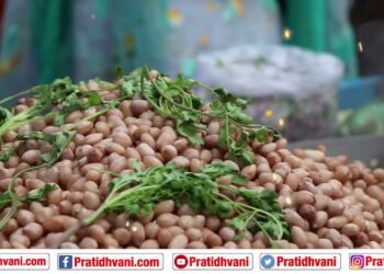 ಬಸವನಗುಡಿ ಕಡಲೆಕಾಯಿ ಪರಿಷೆಯಲ್ಲಿ ಒಂದು ಸುತ್ತಾಟ! | Basavanagudi |