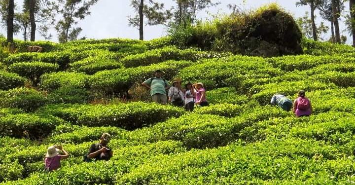 ದಯವಿಟ್ಟು ಗಮನಿಸಿ! ಕಾಫಿ ನಾಡಿನ ಪ್ರವಾಸಕ್ಕೆ ಈ ವಾರ ನಿರ್ಬಂಧ