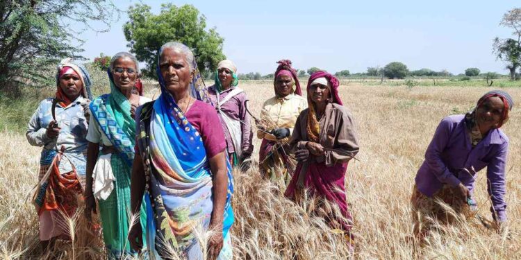 ದಶಕಗಳಿಂದ ಭೂಮಿಗಾಗಿ ಹೋರಾಡುತ್ತಿರುವ ಗುಜರಾತಿನ ಭೂ ರಹಿತ ದಲಿತರ ಮಹಿಳೆಯರು ಮತ್ತು ಮೇಲ್ಜಾತಿ ಜಮೀನ್ದಾರರ ಆಕ್ರಮಣ (ಭಾಗ-1)