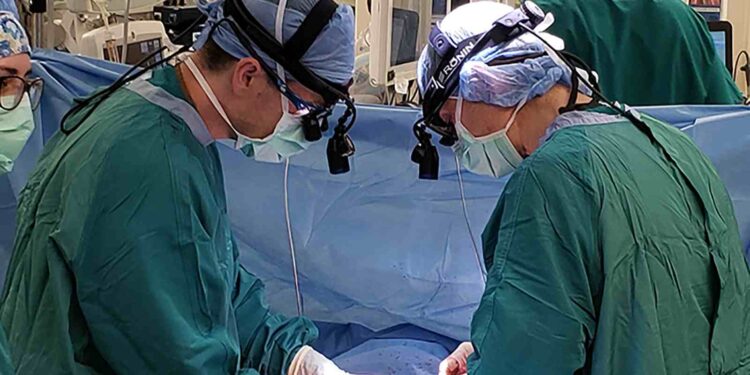 ಮನುಷ್ಯನಿಗೆ ಹಂದಿ ಹೃದಯ ಕಸಿ ಮಾಡುವಲ್ಲಿ ಯಶಸ್ವಿಯಾದ ಯುಎಸ್ ವೈದ್ಯರು!