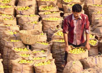 ವಿಜಯಪುರ ಜಿಲ್ಲೆಯ ನಿಂಬೆಗೆ ಜಿಐ ಟ್ಯಾಗ್ ಸಿಗೋದು ಬಹುತೇಕ ಖಚಿತ : ಬೆಳಗಾರರ ಮುಖದಲ್ಲಿ ಮಂದಹಾಸ