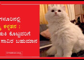 ಬೆಂಗಳೂರಿನಲ್ಲಿ ಬೆಕ್ಕು ಕಳ್ಳತನ : ಹುಡುಕಿ ಕೊಟ್ಟವರಿಗೆ  35 ಸಾವಿರ ಬಹುಮಾನ
