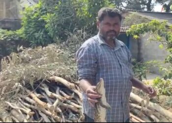 ಗಾಳಕ್ಕೆ ಸಿಕ್ಕ ಮೊಸಳೆ : ನಿಲ್ಲದ ತುಂಗಾ ನದಿ ಮೇಲಿನ ದೌರ್ಜನ್ಯ!