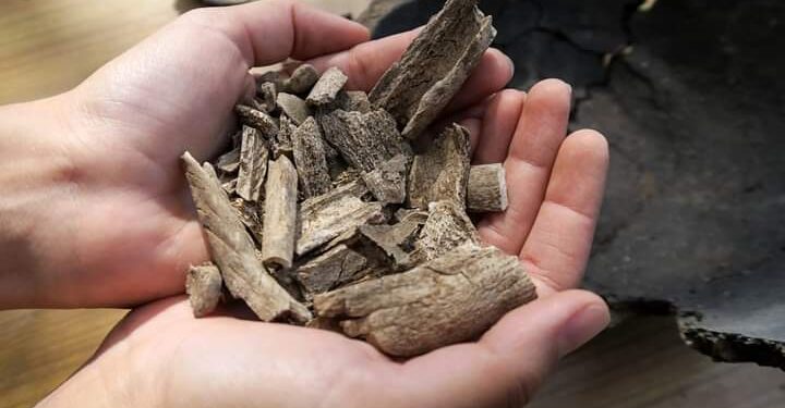 ಲಾಕ್‌ಡೌನ್‌ ತಂದಿಟ್ಟ ಸಂಕಷ್ಟ : ಸಫಾಯಿ ಕರ್ಮಚಾರಿಗಳೀಗ ಸ್ಮಶಾನಗಳಲ್ಲಿ ಮೂಳೆ ಆಯುವವರು!