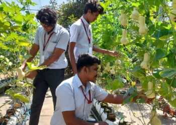 ಹೈಡ್ರೋಫೋನಿಕ್ಸ್ ವಿಧಾನ ಬಳಸಿ ಕೃಷಿ ಇಳುವರಿಯನ್ನು 3 ಪಟ್ಟು ಹೆಚ್ಚಿಸಿದ ಕೇರಳ ವಿದ್ಯಾರ್ಥಿಗಳು | ಹೊಸ ಕೃಷಿ ಕ್ರಾಂತಿ