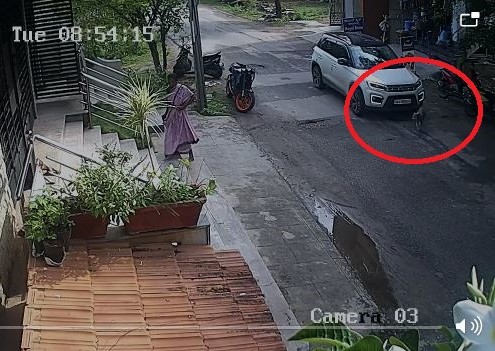 ಬೆಂಗಳೂರಿನಲ್ಲೊಂದು ಅಮಾನವೀಯ ಘಟನೆ : ಬೀದಿ ನಾಯಿ ಮೇಲೆ ಕಾರು ಹರಿಸಿದ ಕಾರು ಚಾಲಕ !