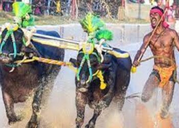 ಕ್ರಿಕೆಟಿಗ ಕರುಣ್‌ ನಾಯರ್‌, ಕಂಬಳದ ಗೋಪಾಲನಾಯ್ಕಗೆ ಏಕಲವ್ಯ ಪ್ರಶಸ್ತಿ!