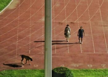 ಐಎಎಸ್ ಅಧಿಕಾರಿಯ ನಾಯಿ ವಾಕಿಂಗ್ ಬಂದರೆ ಅಥ್ಲೀಟ್ ಗಳು ಮೈದಾನದಿಂದ ಹೊರಗೆ!