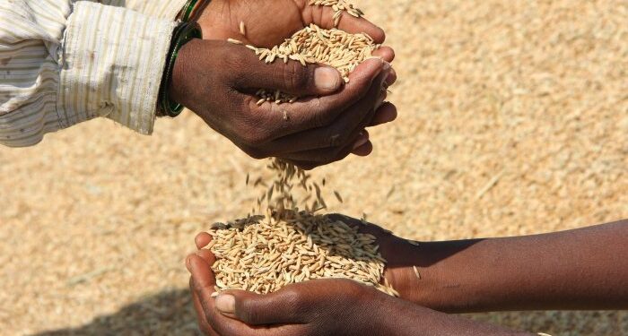 2030ರ ಹೊತ್ತಿಗೆ ಆಹಾರದ ಬಿಕ್ಕಟ್ಟು ಮತ್ತಷ್ಟು ಹದಗೆಡಲಿದ್ದು ಸರ್ಕಾರಗಳು ಈಗಲೇ ಕಾರ್ಯಪ್ರವೃತ್ತವಾಗಬೇಕು: ಐಎಫ್‌ಪಿಆರ್‌ಐ ವರದಿ