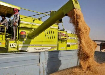 ತತ್ ಕ್ಷಣದಿಂದಲೇ ಜಾರಿಗೆ ಬರುವಂತೆ ಗೋಧಿ ರಫ್ತು ನಿರ್ಬಂಧಿಸಿದ ಕೇಂದ್ರ!