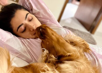 ಸಾಕು ನಾಯಿಗೆ ಫ್ಲೈಟ್ ಟಿಕೆಟ್ ಬೇಕು ಎಂಬ ಮಾಧ್ಯಮಗಳ ವರದಿಗೆ ರಶ್ಮಿಕಾ ಮಂದಣ್ಣ ಪ್ರತಿಕ್ರಿಯಿಸಿದ್ದೇನು ಗೊತ್ತೇ?