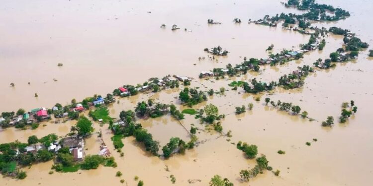 ಪ್ರವಾಹದಿಂದ ಅಸ್ಸಾಂ ತತ್ತರ, ಸಿಎಂ ಶರ್ಮಾ ಮಹಾ ಶಾಸಕರೊಂದಿಗೆ : ಟಿಎಂಸಿ ವಾಗ್ದಾಳಿ
