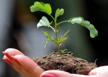 ಪರಿಸರ ಪ್ರಜ್ಞೆಯ ಕೊರತೆಯ ನಡುವೆಯೇ ಮತ್ತೊಂದು ದಿನ