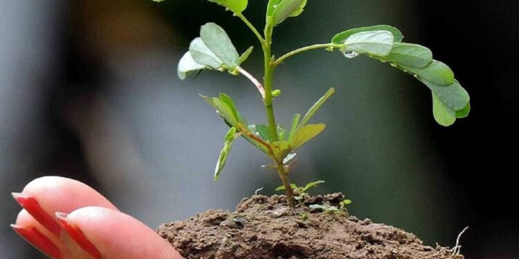 ಪರಿಸರ ಪ್ರಜ್ಞೆಯ ಕೊರತೆಯ ನಡುವೆಯೇ ಮತ್ತೊಂದು ದಿನ