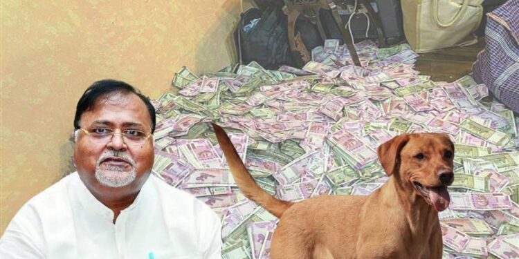 ನಾಯಿಗಾಗಿ ಐಷಾರಾಮಿ ಅಪಾರ್ಟ್‌ಮೆಂಟ್‌ ಖರೀದಿಸಿದ್ದ ಸಚಿವ!