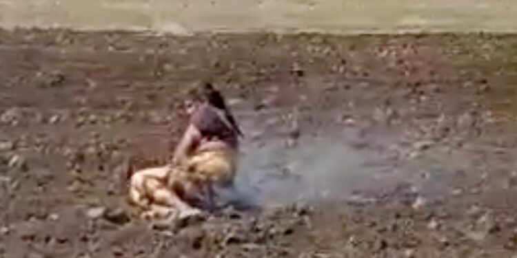 ಜಮೀನು ಆಕ್ರಮಣಕ್ಕೆ ವಿರೋಧ ತೋರಿದ ಆದಿವಾಸಿ ಮಹಿಳೆಗೆ ಬೆಂಕಿ ಹಚ್ಚಿ ಹತ್ಯೆಗೆ ಯತ್ನ