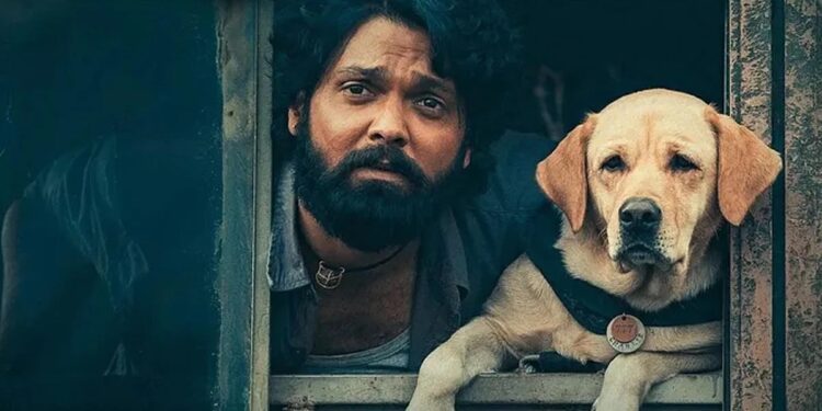 ಚಾರ್ಲಿಗೆ ಈಗ ಎಲ್ಲಿಲ್ಲದ ಡಿಮ್ಯಾಂಡ್ : ಬೇರೆ ಭಾಷೆಯಲ್ಲೂ ಮಿಂಚಲಿದೆಯ ಚಾರ್ಲಿ?