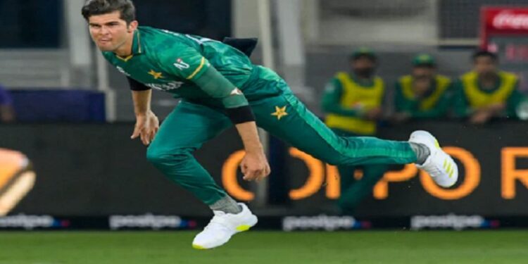 ಭಾರತ 5 ವಿಕೆಟ್‌ ಜಯಭೇರಿ, ಜಿಂಬಾಬ್ವೆಗೆ 0-2ರಿಂದ ಸರಣಿ ಸೋಲು!