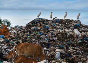 ಘನ, ದ್ರವ ತ್ಯಾಜ್ಯ ಸಂಸ್ಕರಣೆಯಲ್ಲಿ ಭಾರೀ ಪ್ರಮಾಣದ ಅಂತರ: ಪಶ್ಚಿಮ ಬಂಗಾಳ ಸರ್ಕಾರಕ್ಕೆ 3500 ಕೋಟಿ ದಂಡ