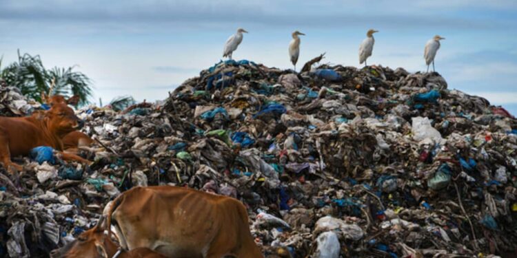 ಘನ, ದ್ರವ ತ್ಯಾಜ್ಯ ಸಂಸ್ಕರಣೆಯಲ್ಲಿ ಭಾರೀ ಪ್ರಮಾಣದ ಅಂತರ: ಪಶ್ಚಿಮ ಬಂಗಾಳ ಸರ್ಕಾರಕ್ಕೆ 3500 ಕೋಟಿ ದಂಡ