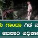 ಪುಟ್ಟ ಗ್ರಾಮದಲ್ಲಿ ೫ ಮನೆಗಳು ಮಳೆರಾಯನ ಆರ್ಭಟಕ್ಕೆ ಬಿದ್ದುಹೋಗಿವೆ