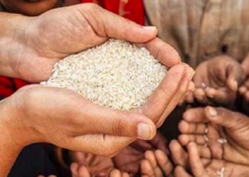 ವಿಡಂಬನೆಗಳ ನಡುವೆ ಒಂದು ಜನಸಮೂಹ- ಸಮಾಜ