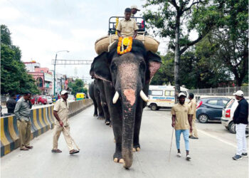 ಕಾಡಾನೆ ಅಟ್ಯಾಕ್‌ನಿಂದ ದಸರಾ ಗಜಪಡೆಯ ಗೋಪಾಲಸ್ವಾಮಿ ಆನೆ ಸಾವು
