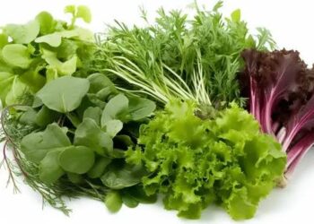 Health:ಬೇಸಿಗೆಯಲ್ಲಿ ಈ ಮೂರು ಬಗೆಯ ಸೊಪ್ಪು ನಮ್ಮ ಆರೋಗ್ಯಕ್ಕೆ ತುಂಬಾನೆ  ಒಳ್ಳೆಯದು!