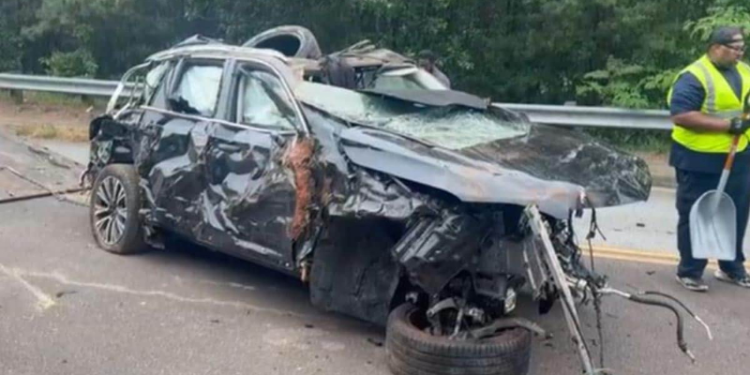 ಭಾರತೀಯರಿದ್ದ ಕಾರು ಭೀಕರ ಅಪಘಾತ; ಹಾರಿ ಮರದಲ್ಲಿ ಸಿಲುಕಿದ್ದ ಕಾರು