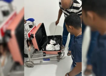 ಕೆಂಪೇಗೌಡ ಬಸ್ ನಿಲ್ದಾಣದಲ್ಲಿ ಅಕ್ರಮವಾಗಿ ಸಾಗಿಸುತ್ತಿದ್ದ 10 ಅನಕೊಂಡ ವಶಕ್ಕೆ!