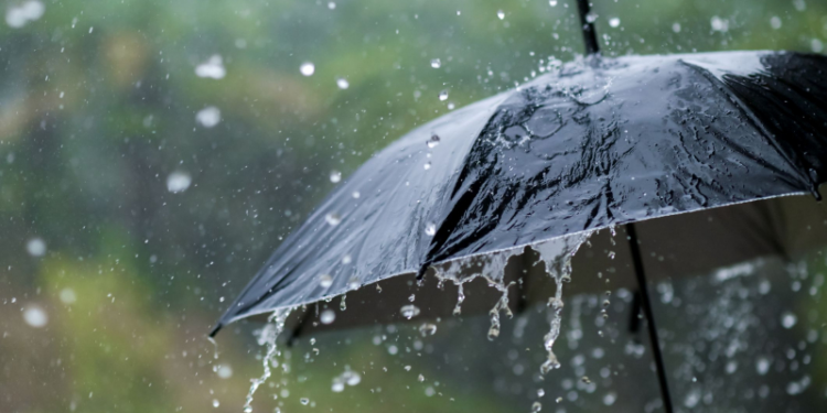 ಇಂದು ಹಾಗೂ ನಾಳೆ ರಾಜ್ಯದಲ್ಲಿ ಭರ್ಜರಿ ಮಳೆಯ ಮುನ್ಸೂಚನೆ!