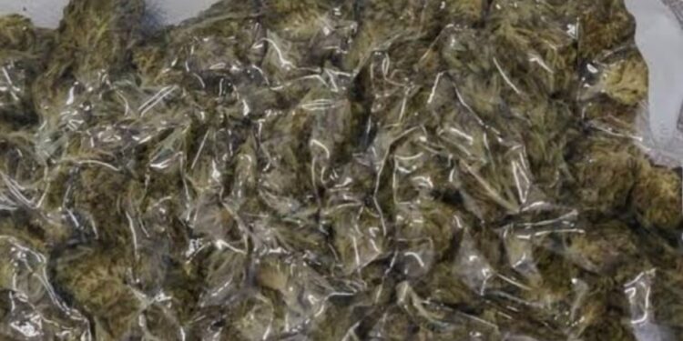 ಕರ್ನಾಟಕದಲ್ಲಿ 15 ಕೋಟಿ ಮೌಲ್ಯದ ಗಾಂಜಾ ಜಪ್ತಿ..! ಯಾರಿಗೆ ಸೇರಿದ್ದು..?