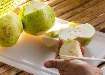 Guava Health Benefits: ಸೀಬೆ ಹಣ್ಣಿನಲ್ಲಿ ಇಷ್ಟೆಲ್ಲಾ ಆರೋಗ್ಯ ಪ್ರಯೋಜನಗಳಿವೆ.!