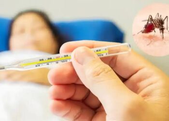 ಮಲೆನಾಡಲ್ಲಿ ಆವರಿಸಿದ ಡೆಂಗ್ಯೂ ಆತಂಕ ! ಒಂದೇ ತಿಂಗಳಲ್ಲಿ ಪತ್ತೆಯಾಯ್ತು 75 ಪ್ರಕರಣ ! 