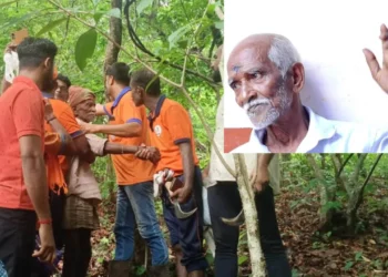 ಕಟ್ಟಿಗೆ ತರಲು ಕಾಡಿಗೆ ಹೋಗಿದ್ದ ವೃದ್ಧ ಪತ್ತೆ; ಕೇವಲ ನೀರಿನಿಂದಲೇ ಬದುಕಿರುವ ವೃದ್ಧ