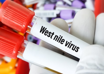 ಕೇರಳಿಗರಿಗೆ ಶುರುವಾದ ಮತ್ತೊಂದು ವೈರಸ್ ಭಯ!