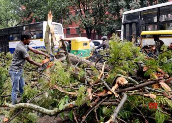 ಬೆಂಗಳೂರಲ್ಲಿ 200ಕ್ಕೂ ಹೆಚ್ಚು ಮರಗಳು ಧರಾಶಾಹಿ ! ಭಾನುವಾರದ ಮಳೆಗೆ ಬೆಂಗಳೂರು ತತ್ತರ ! 