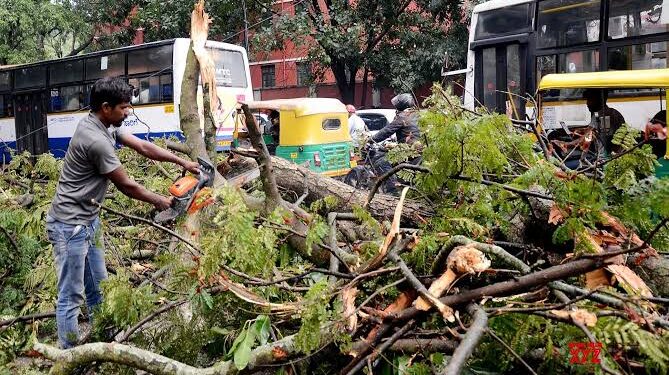 ಬೆಂಗಳೂರಲ್ಲಿ 200ಕ್ಕೂ ಹೆಚ್ಚು ಮರಗಳು ಧರಾಶಾಹಿ ! ಭಾನುವಾರದ ಮಳೆಗೆ ಬೆಂಗಳೂರು ತತ್ತರ !