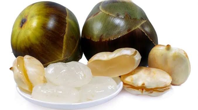 Ice Apple: ತಾಟಿ ನಿಂಗು ಹಣ್ಣನ್ನ ಸೇವಿಸುವುದರಿಂದ ಏನೆಲ್ಲಾ ಆರೋಗ್ಯ ಪ್ರಯೋಜನಗಳಿವೆ ಗೊತ್ತಾ.?