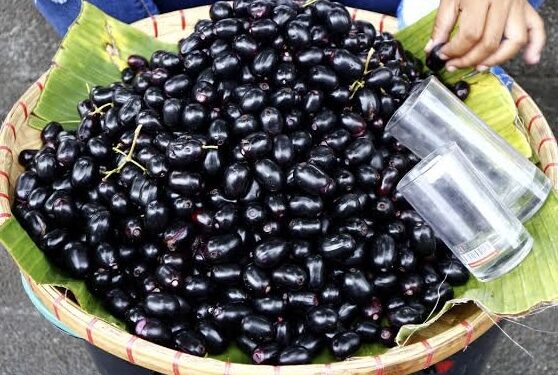 Jamun fruit: ನೇರಳೆ ಹಣ್ಣನ್ನ ತಿನ್ನೋದ್ರಿಂದ ನಮ್ಮ ಆರೋಗ್ಯಕ್ಕೆ ಏನೆಲ್ಲಾ ಪ್ರಯೋಜನಗಳಿವೆ ಗೊತ್ತಾ.!